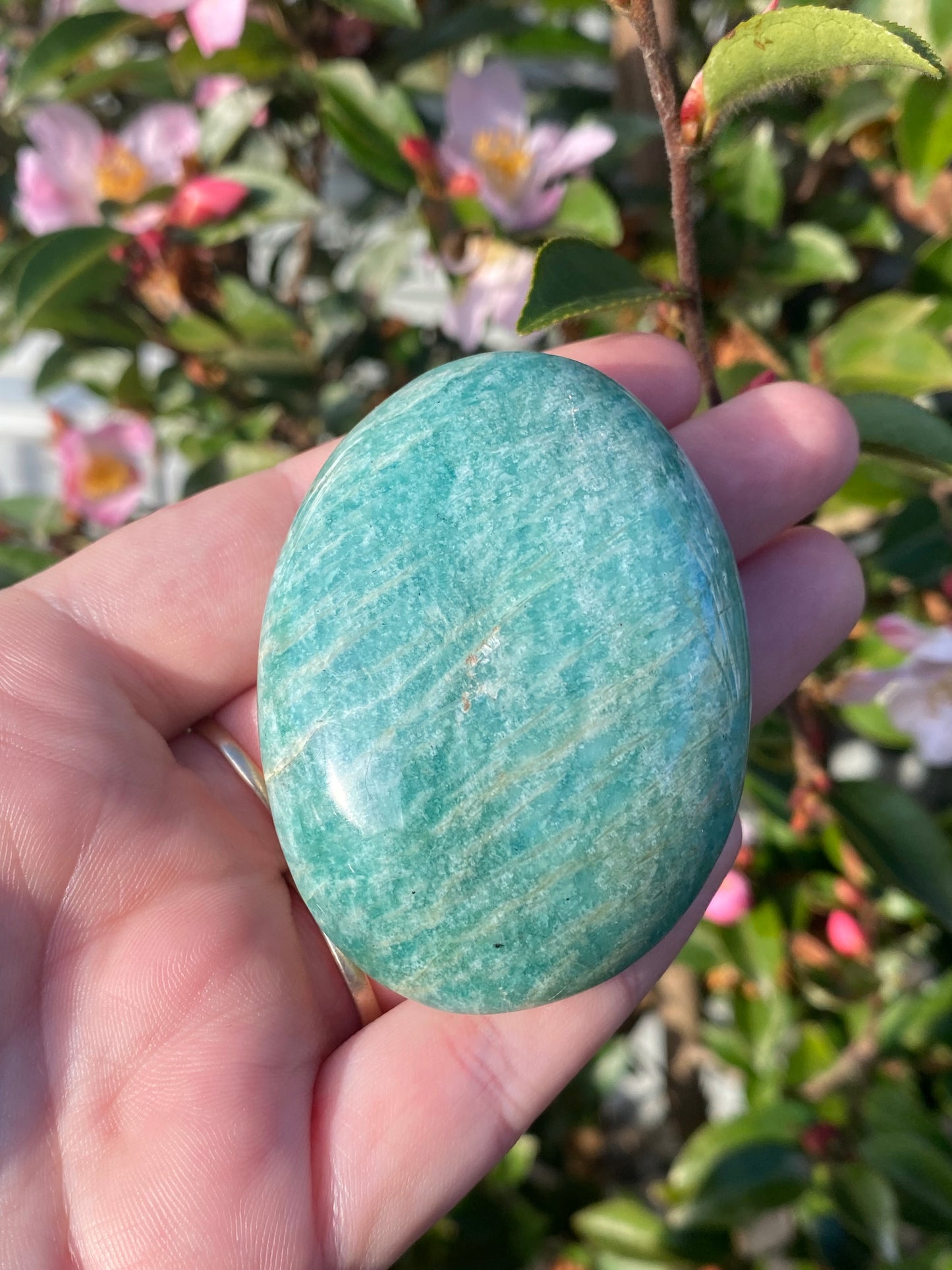 Amazonite Palm Stone - 106g