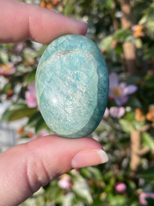 Amazonite Palm Stone - 33g