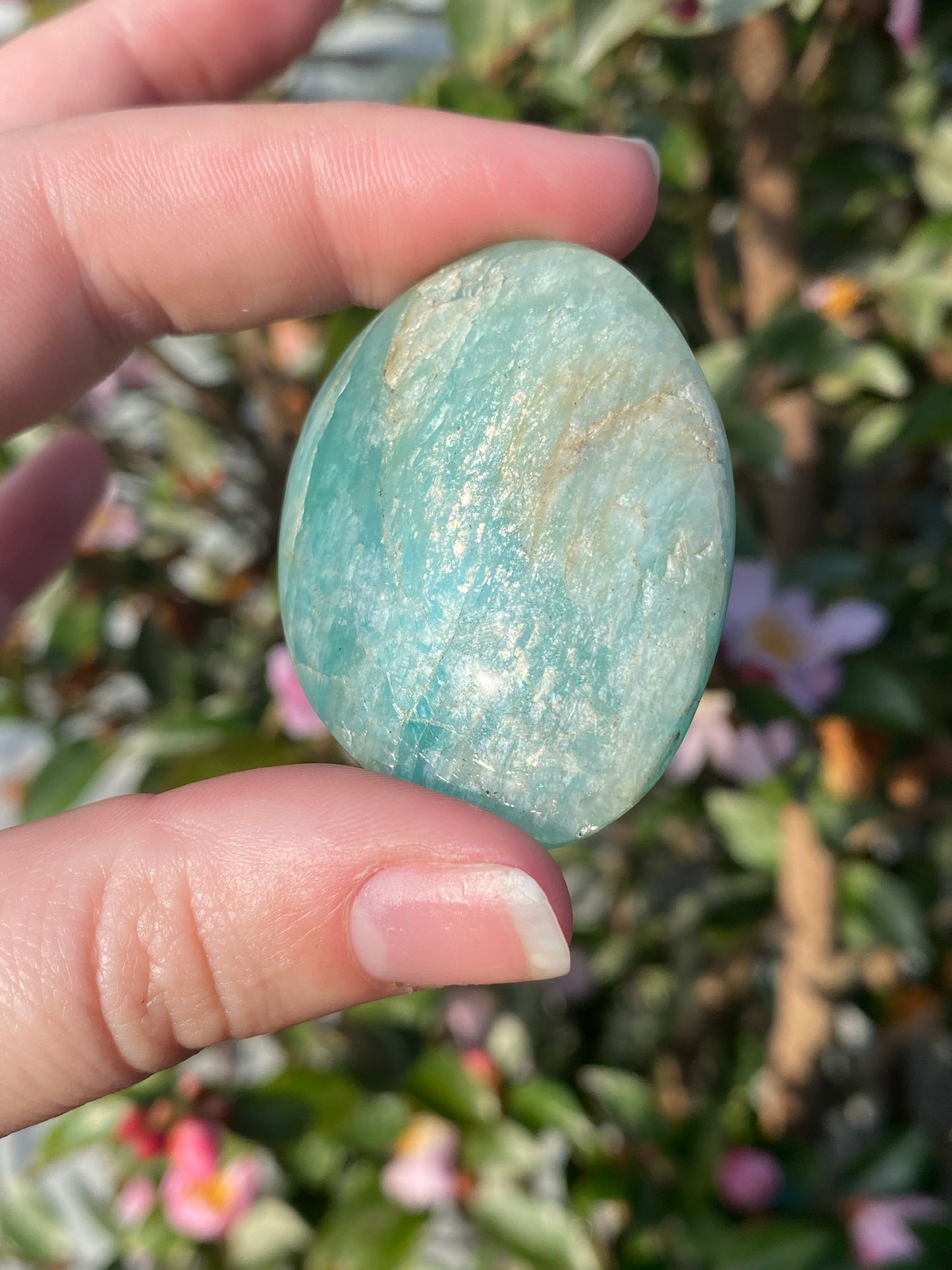 Amazonite Palm Stone - 35g