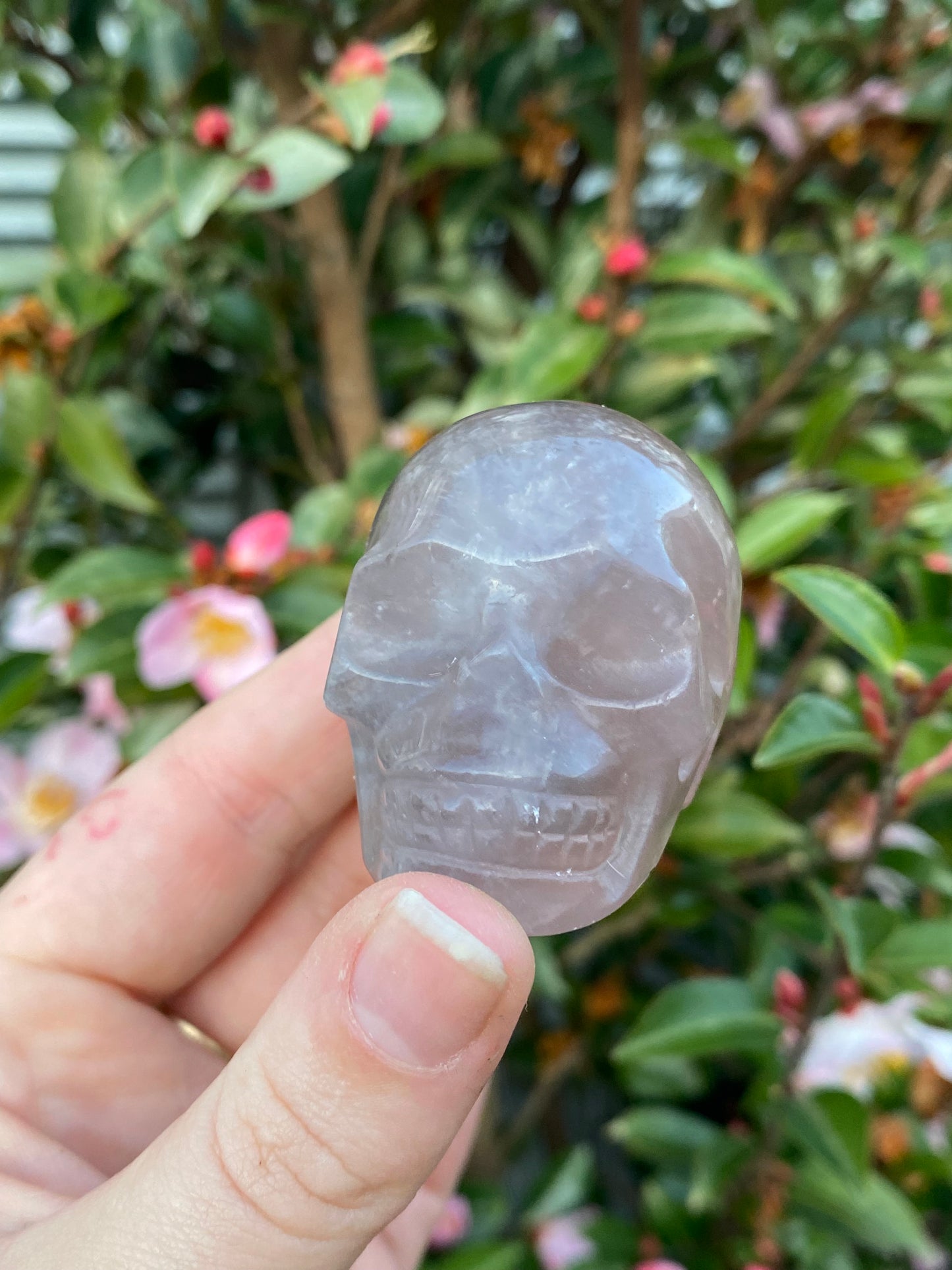 Fluorite Skull