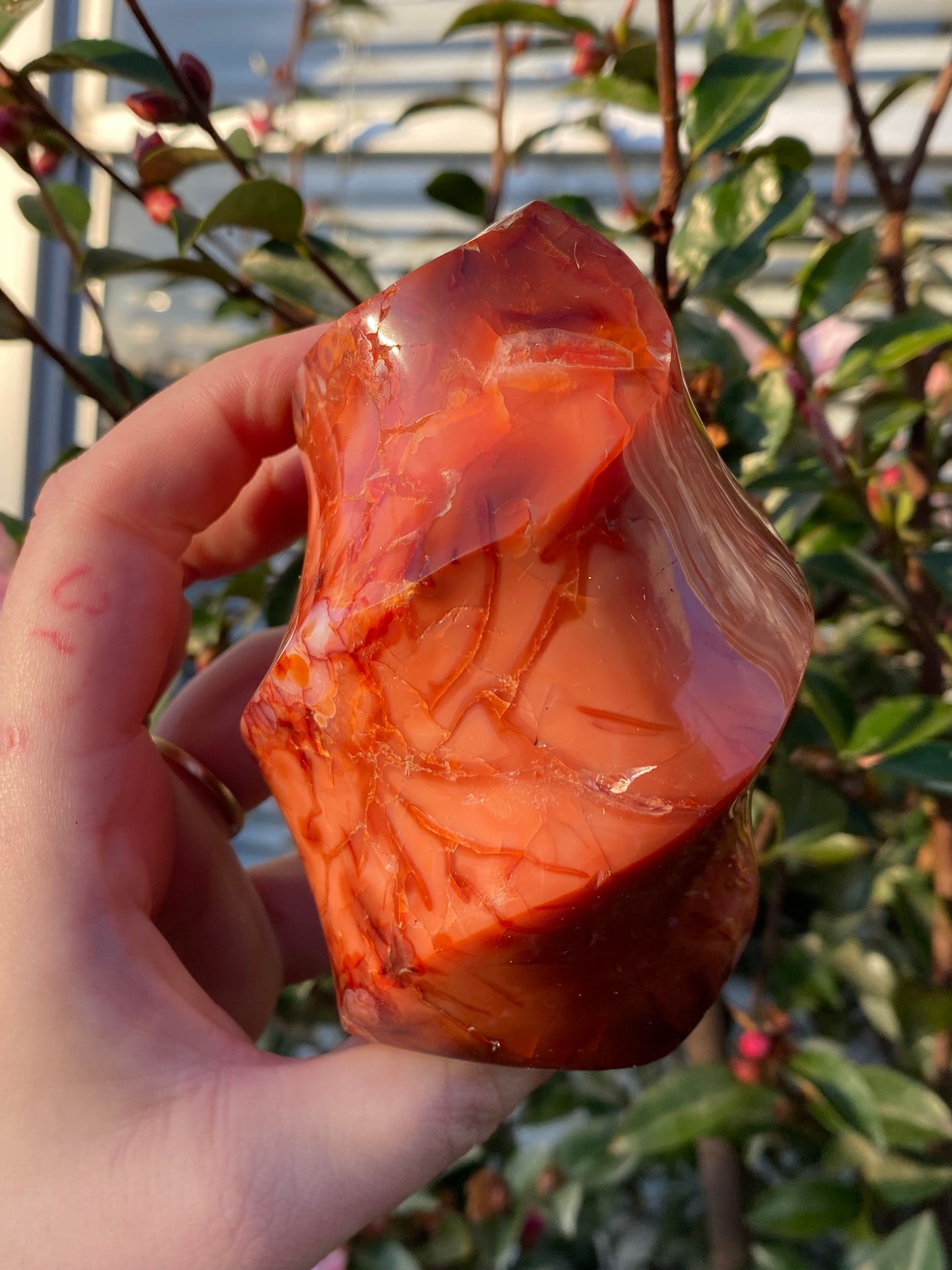 Carnelian Flame - 587g