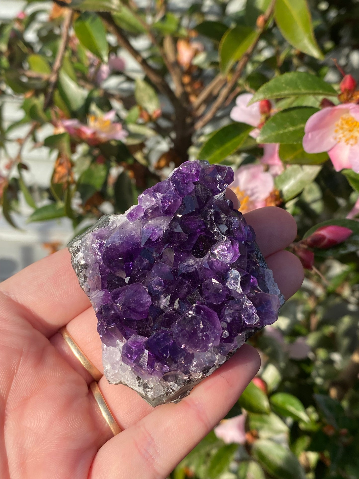 Uruguay Amethyst Cluster - 126g