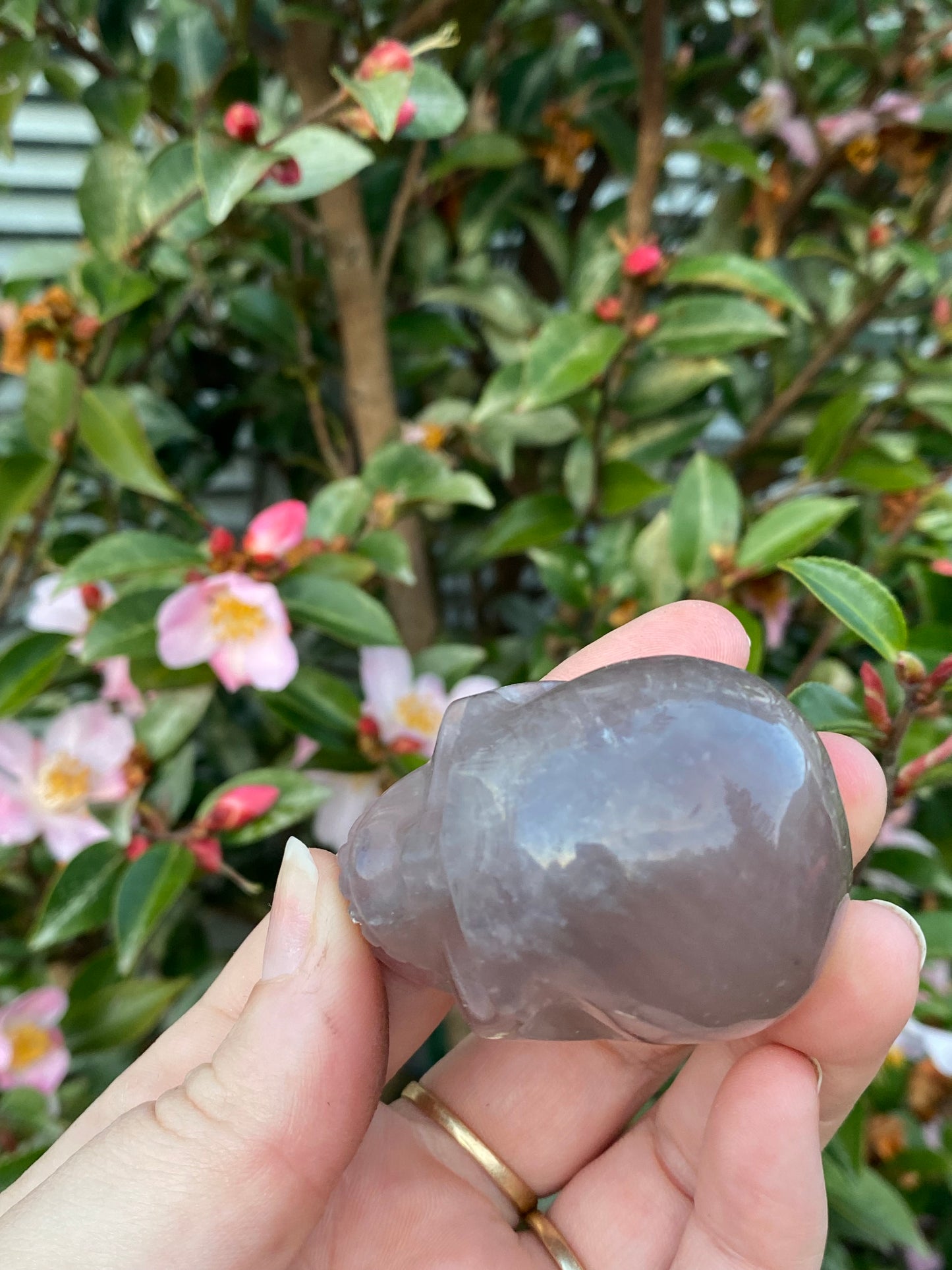 Fluorite Skull