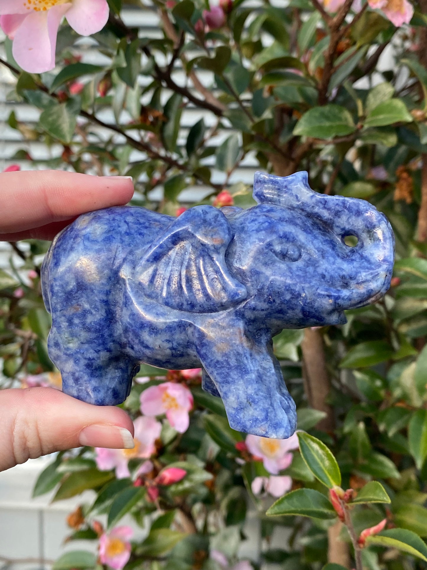 CLEARANCE - Blue Dot Jasper Elephant