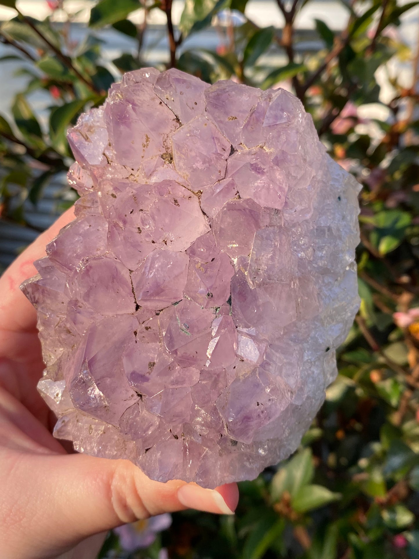 Amethyst Cut Base Cluster - 629g