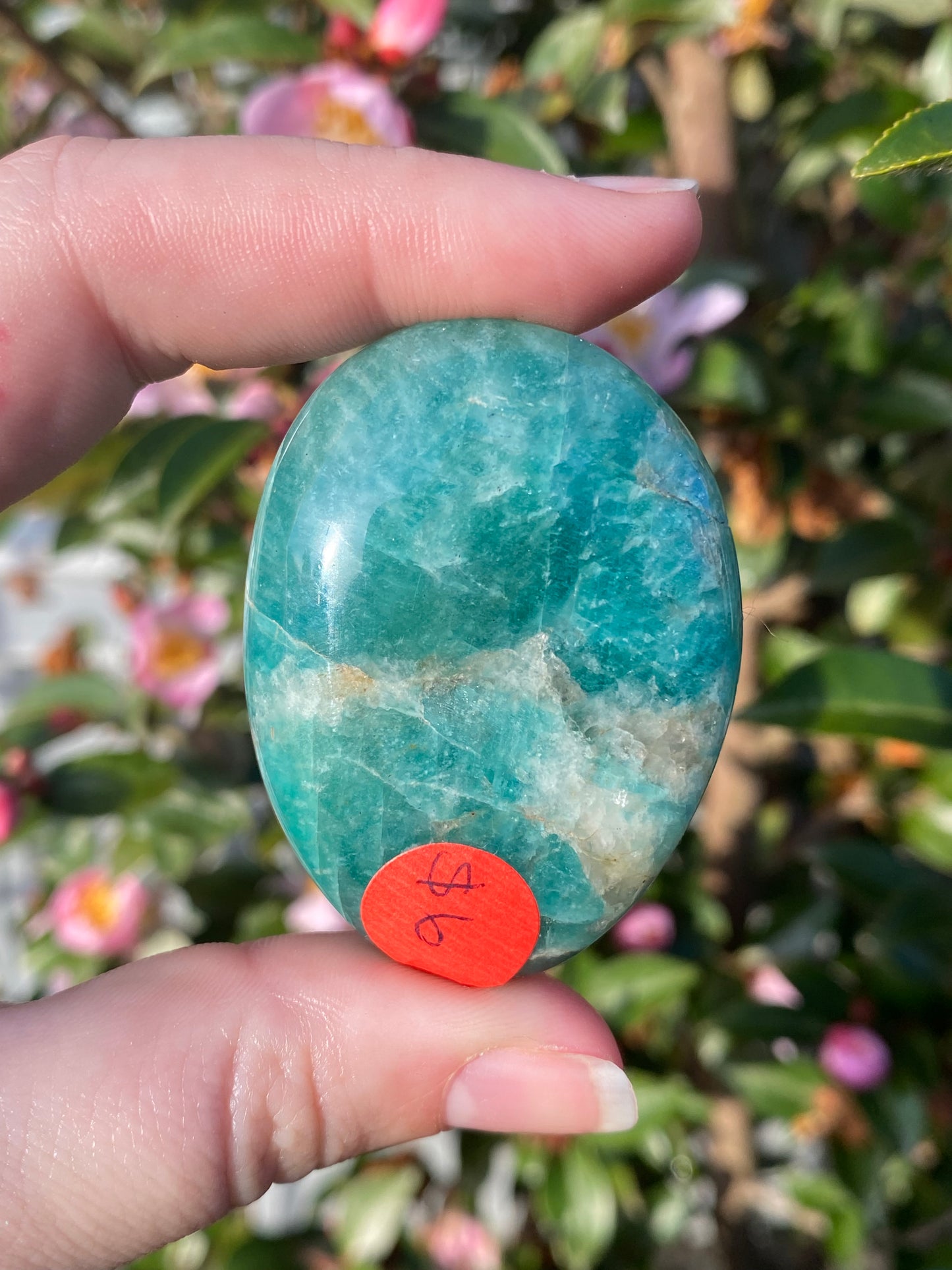 Amazonite Palm Stone - 60g