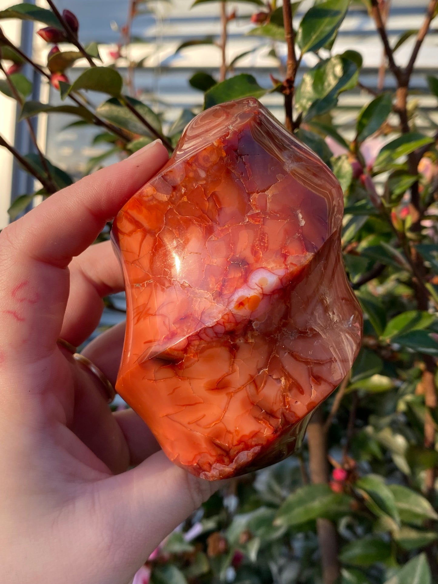 Carnelian Flame - 587g