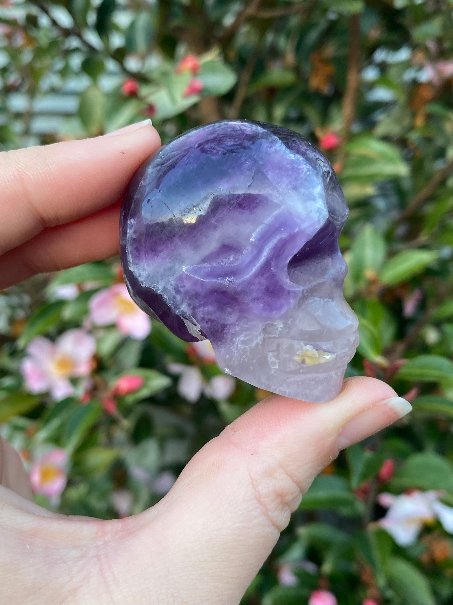 Fluorite Skull