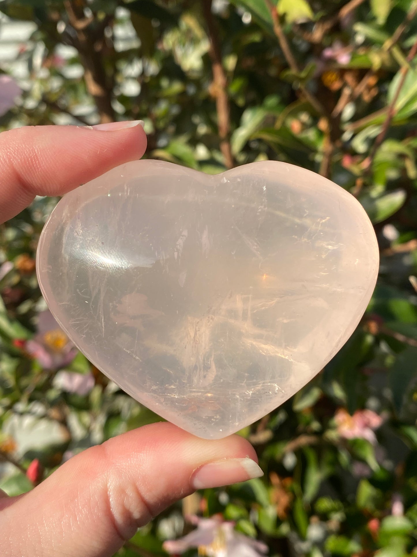 Rose Quartz Heart - 166g