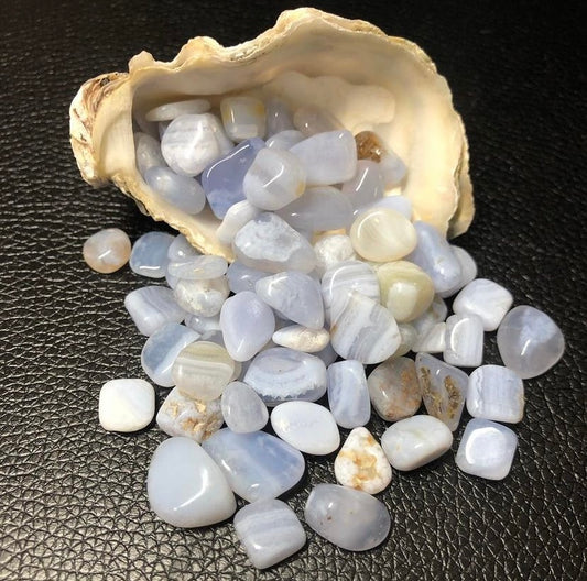 Blue Lace Agate Chips