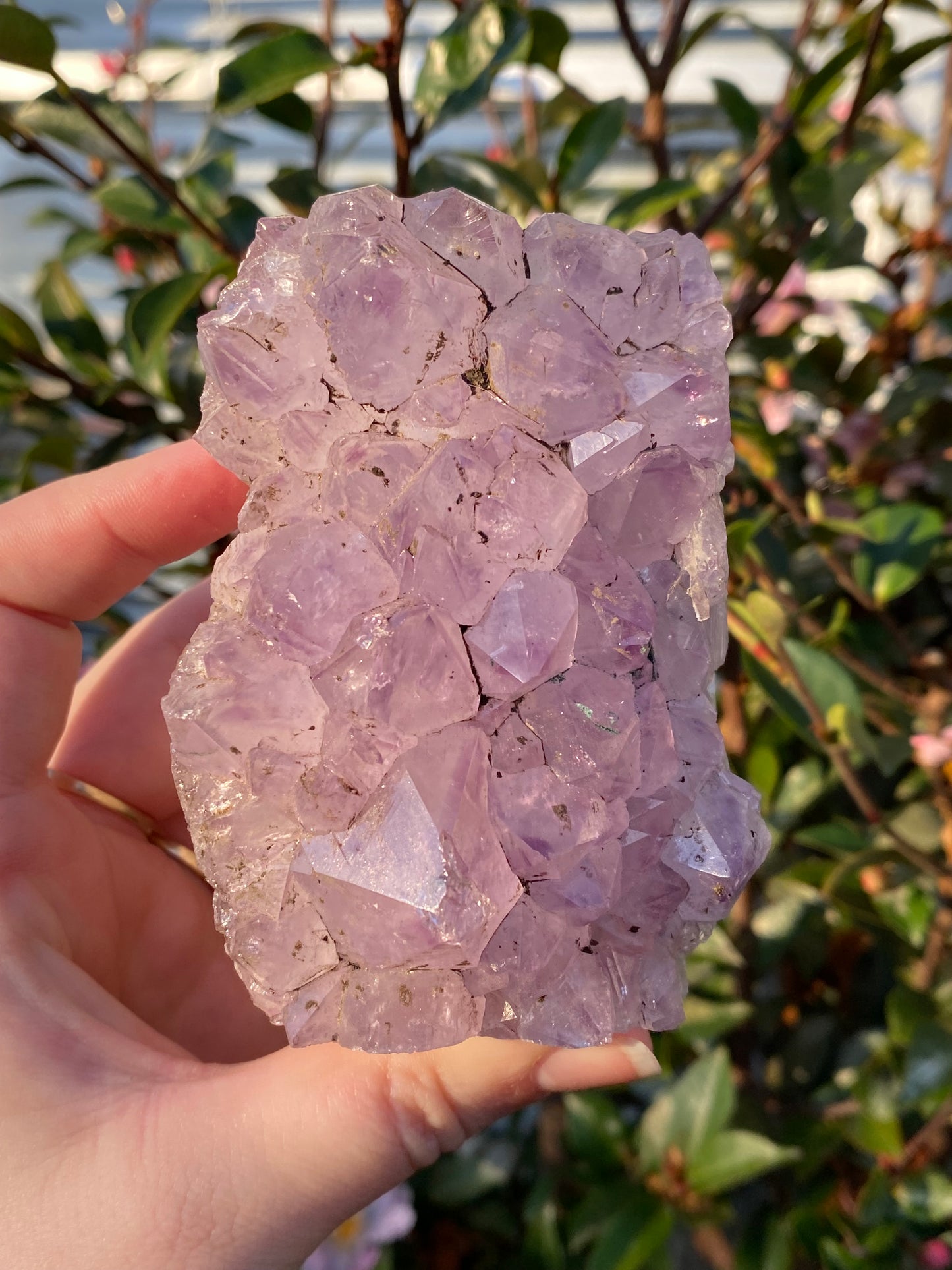 Amethyst Cut Base Cluster - 629g