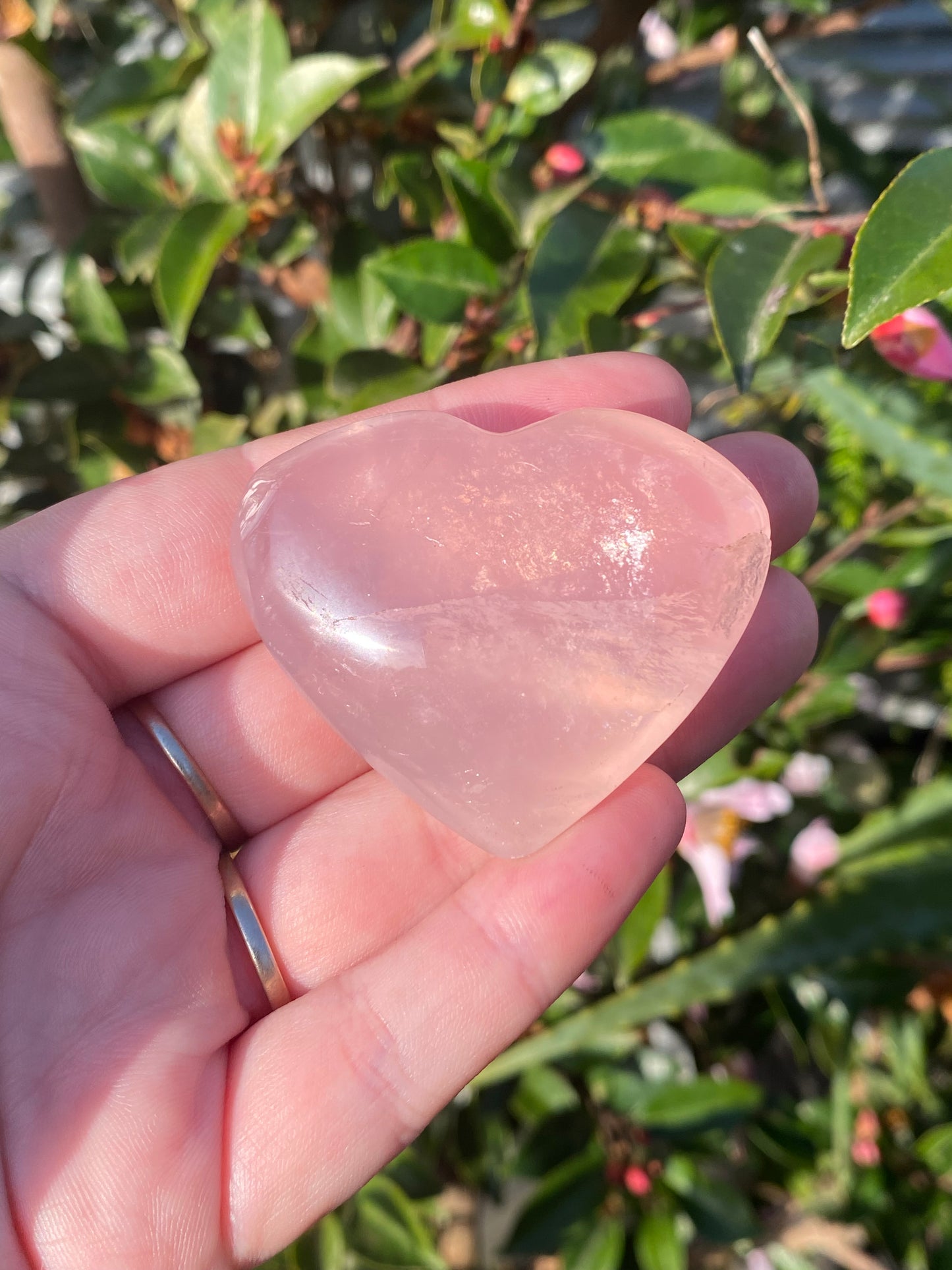 Rose Quartz Heart -55g