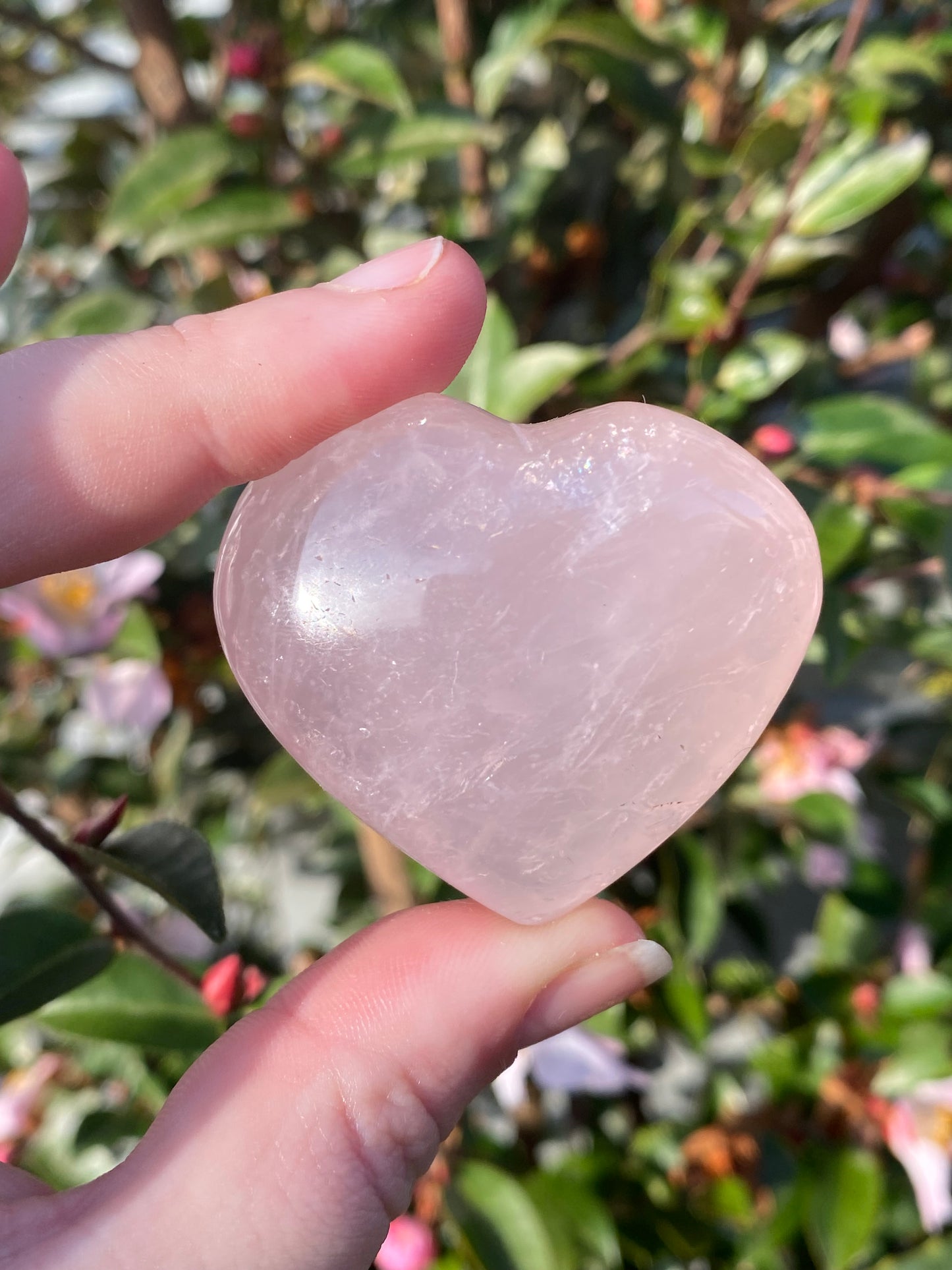 Rose Quartz Heart - 77g