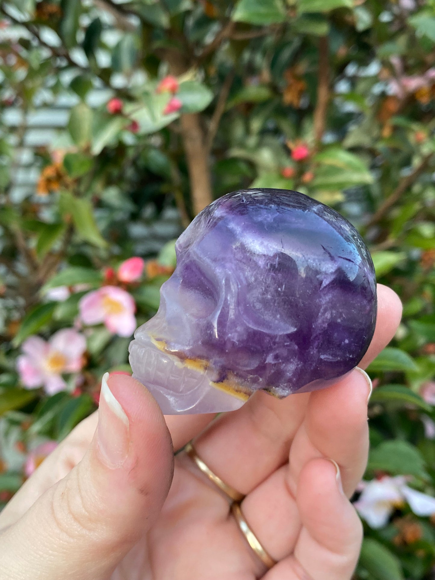 Fluorite Skull