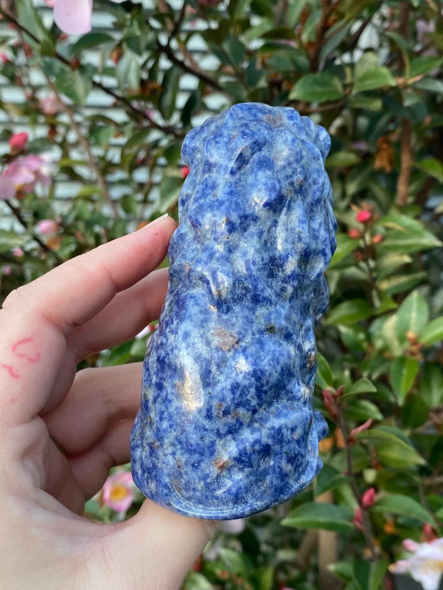 CLEARANCE - Blue Dot Jasper Lion