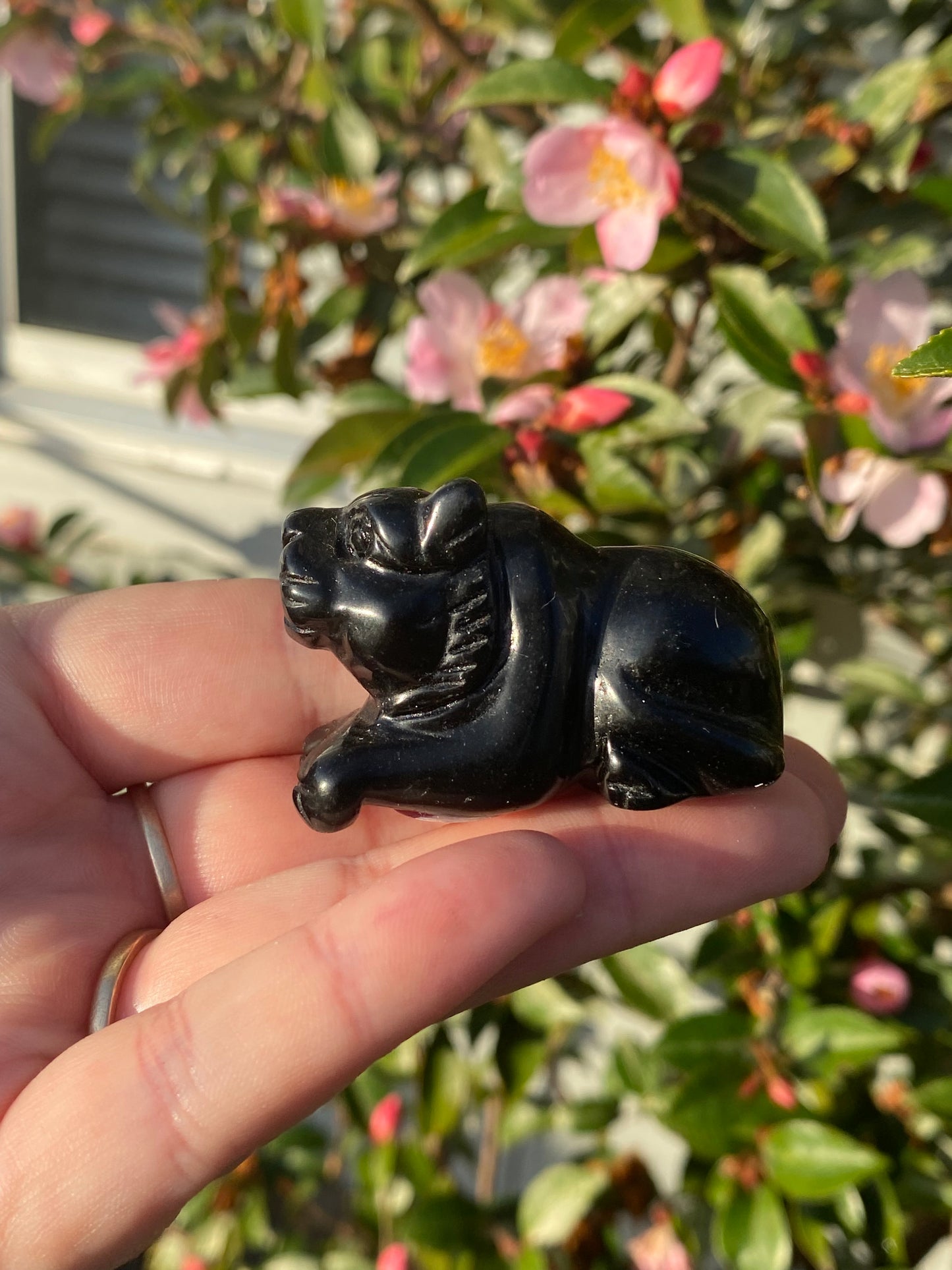 Black Obsidian Tiger