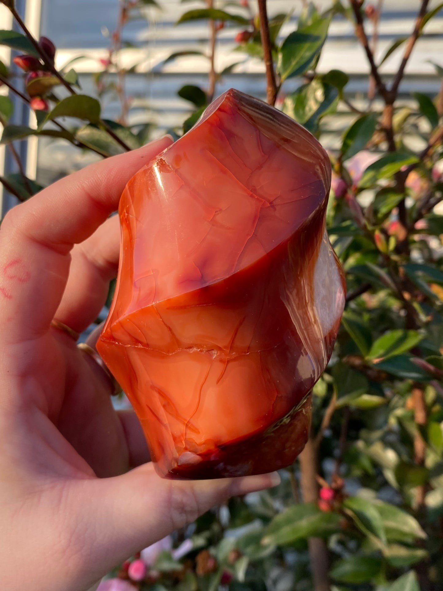 Carnelian Flame - 587g