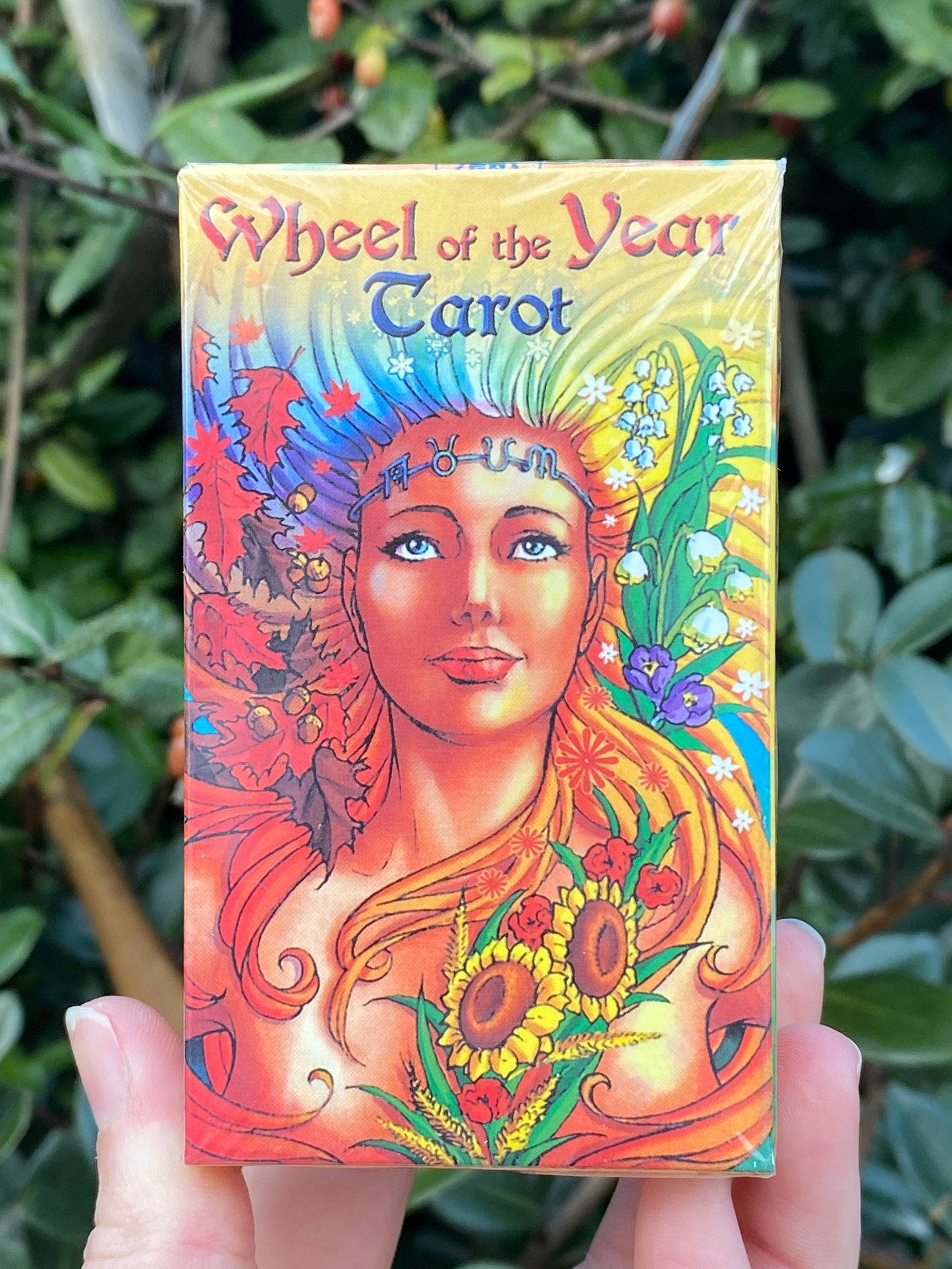 Wheel of the Year Tarot