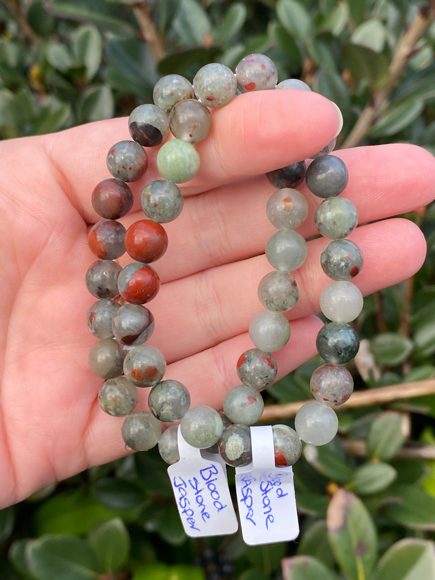 Bloodstone Jasper 8mm Bracelet