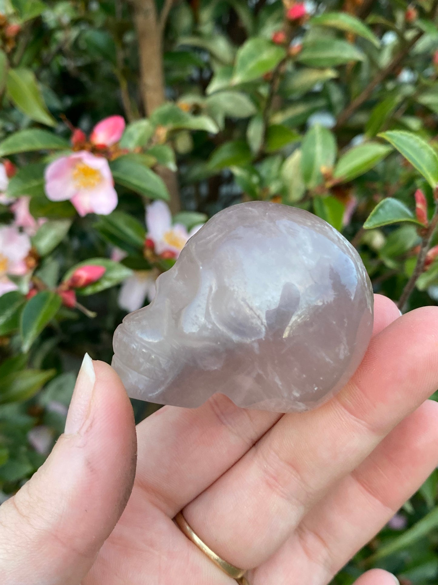 Fluorite Skull