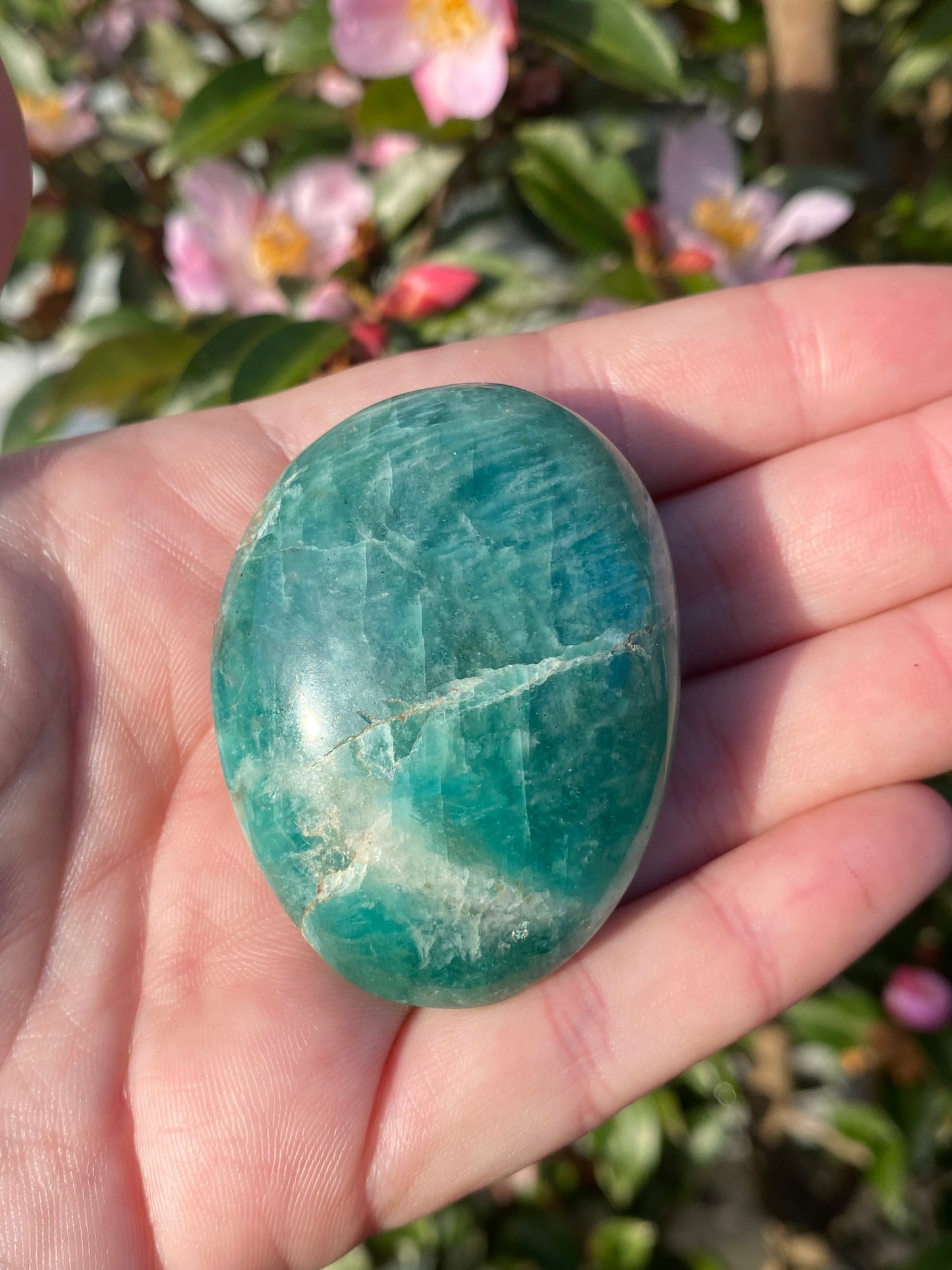 Amazonite Palm Stone - 60g