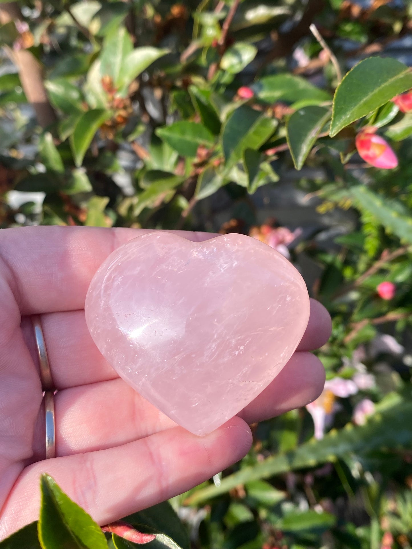 Rose Quartz Heart - 77g