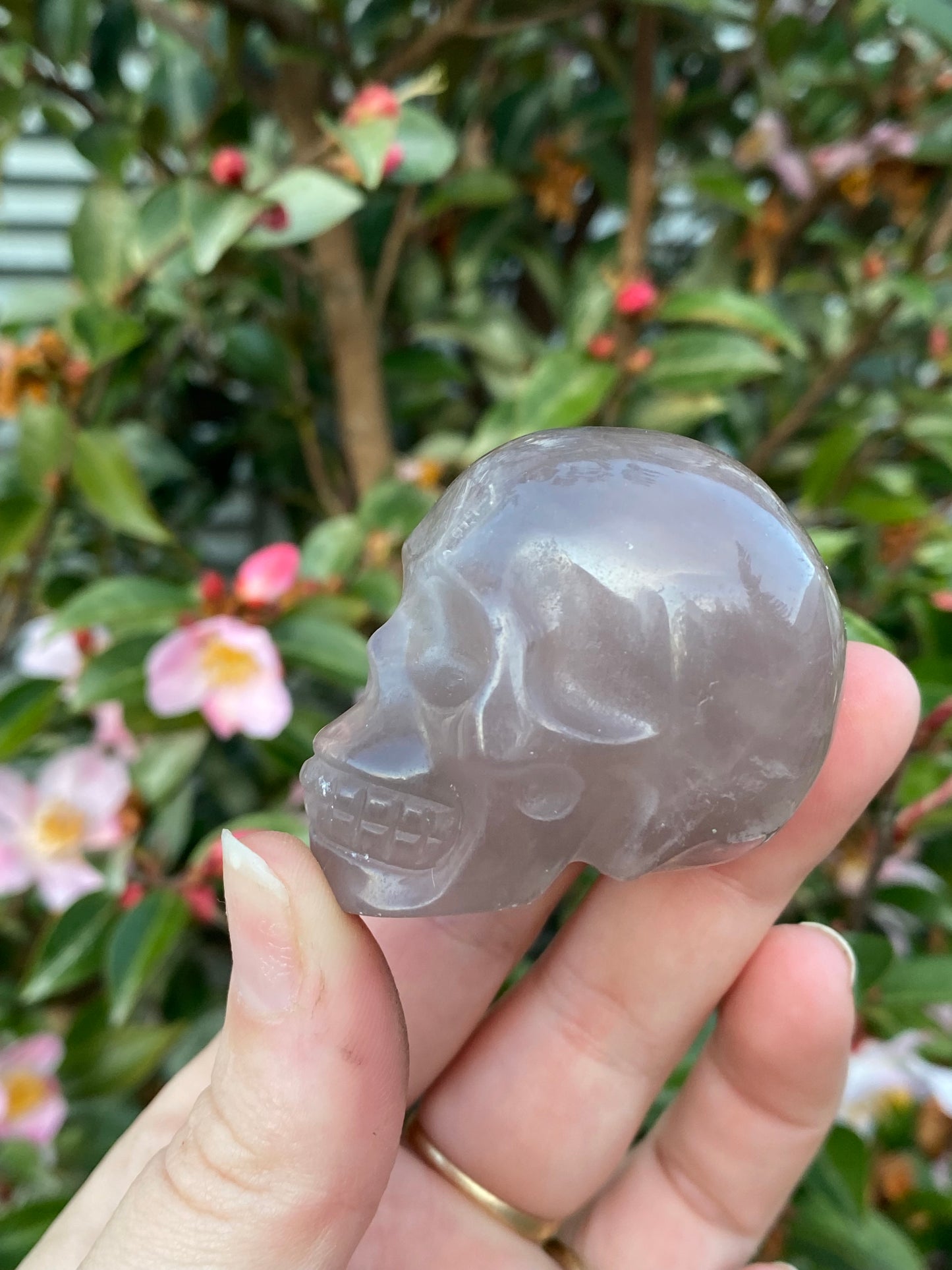 Fluorite Skull