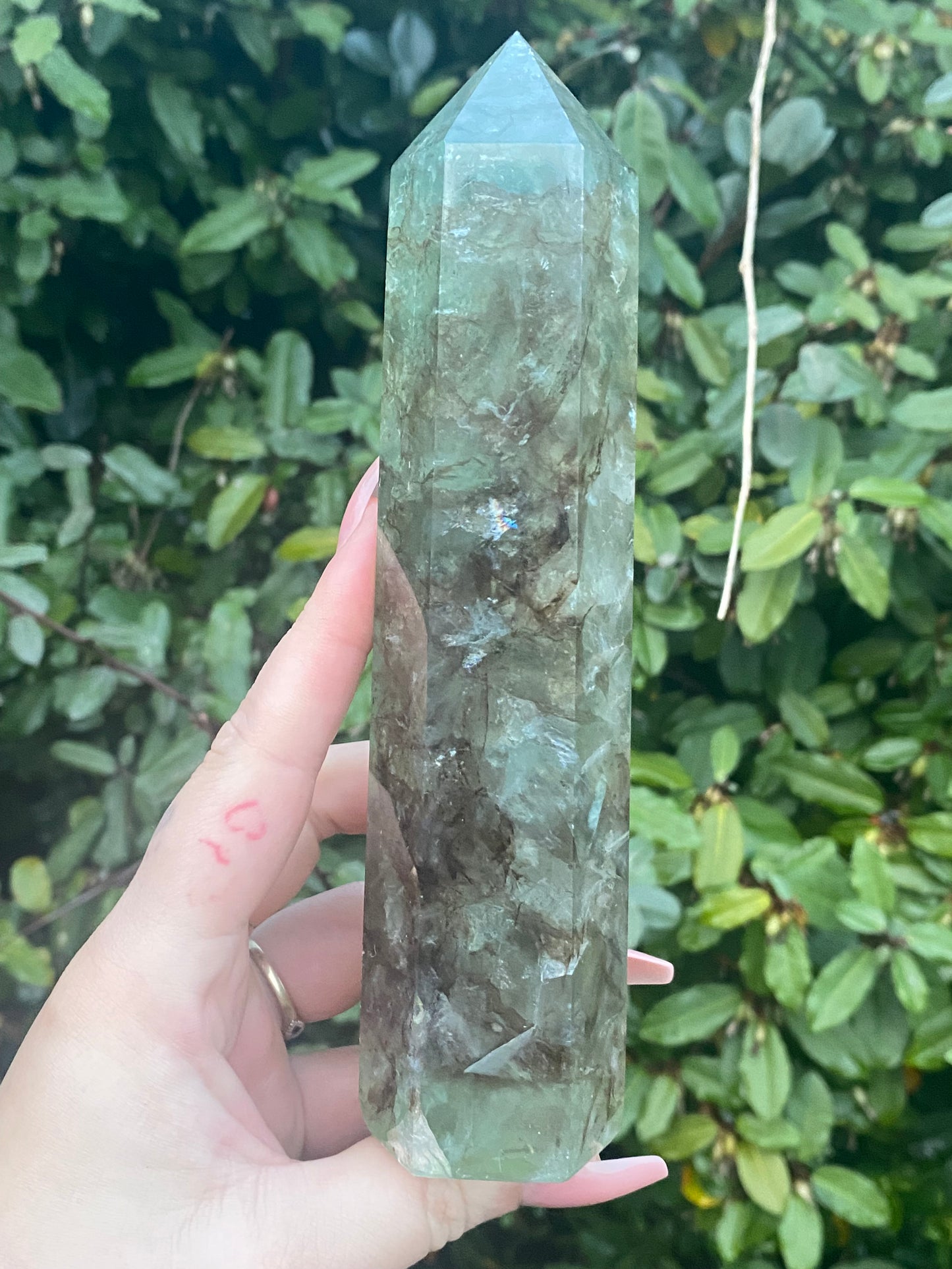 Kelp Fluorite Tower - 658g