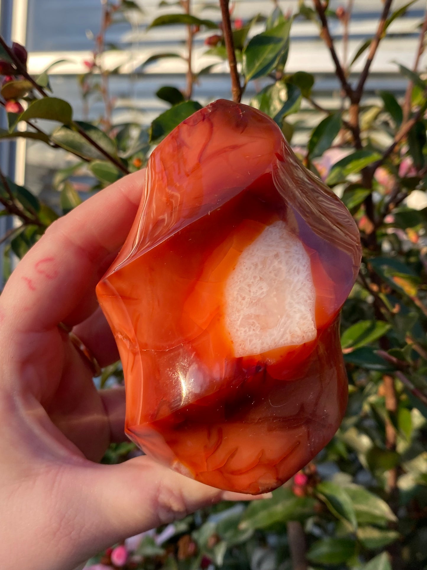 Carnelian Flame - 587g