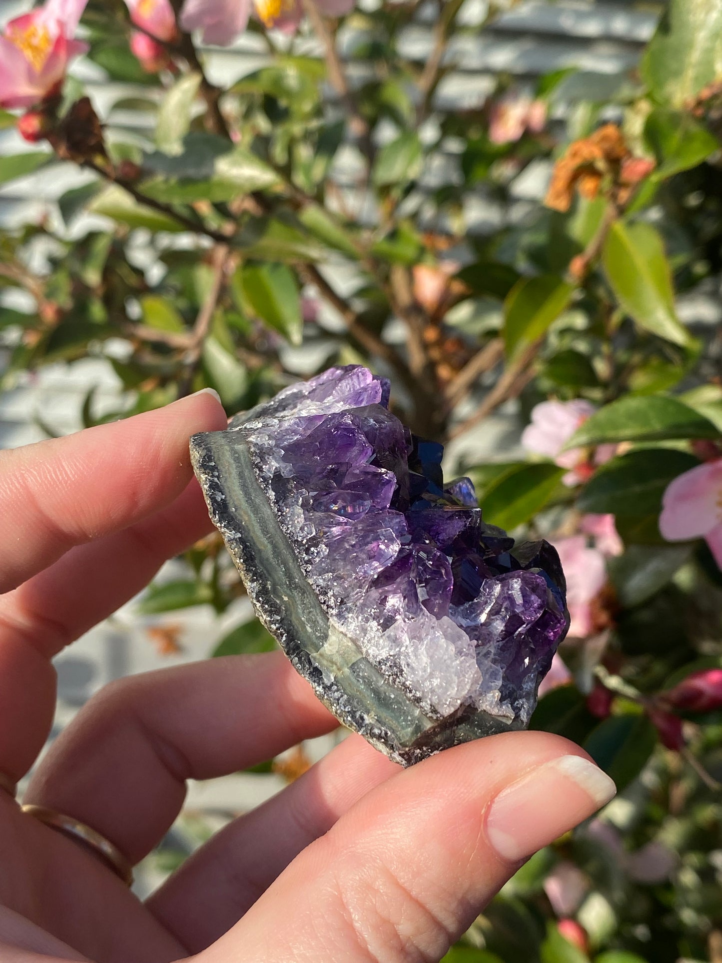 Uruguay Amethyst Cluster - 126g