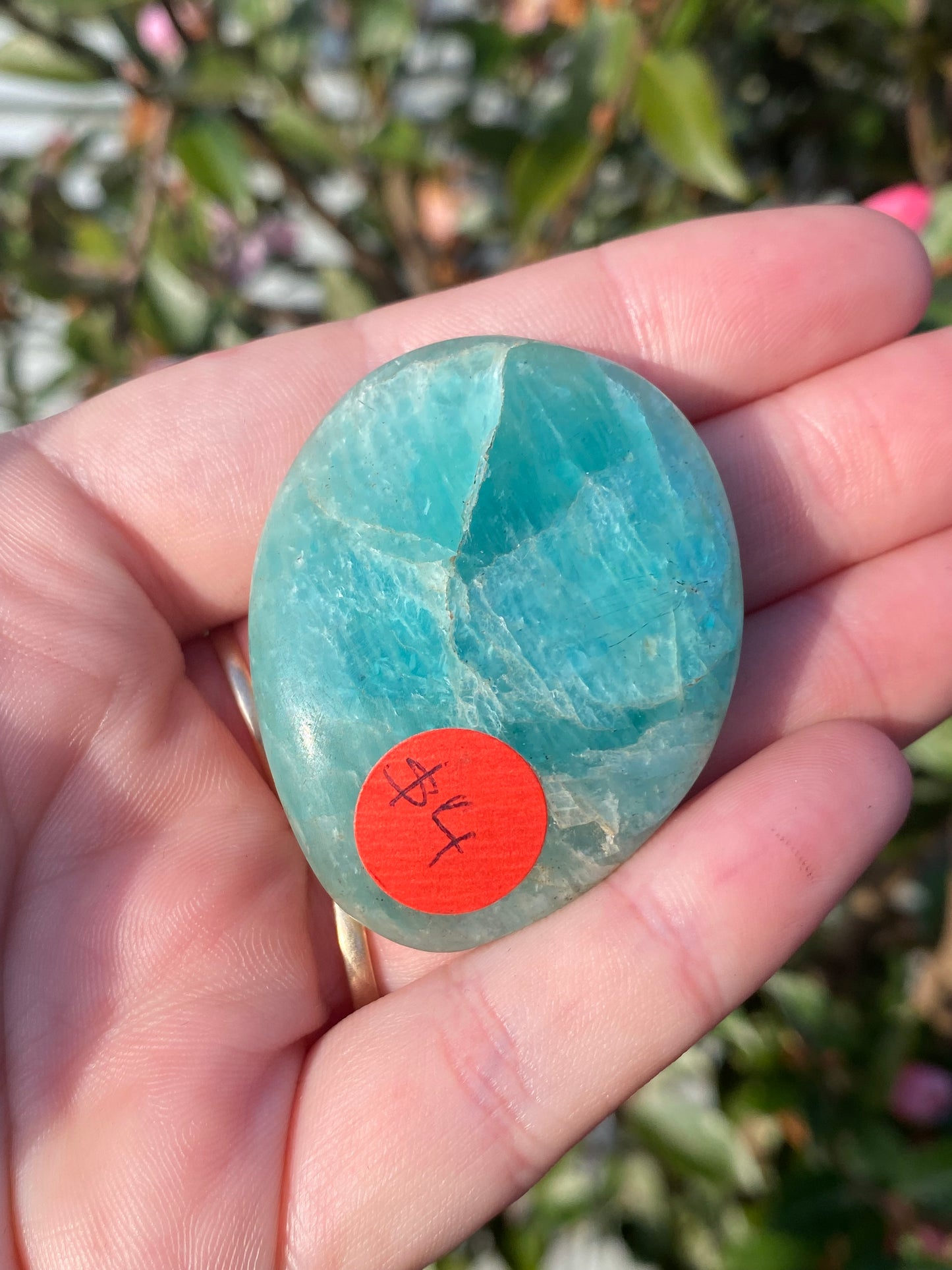 Amazonite Palm Stone - 35g