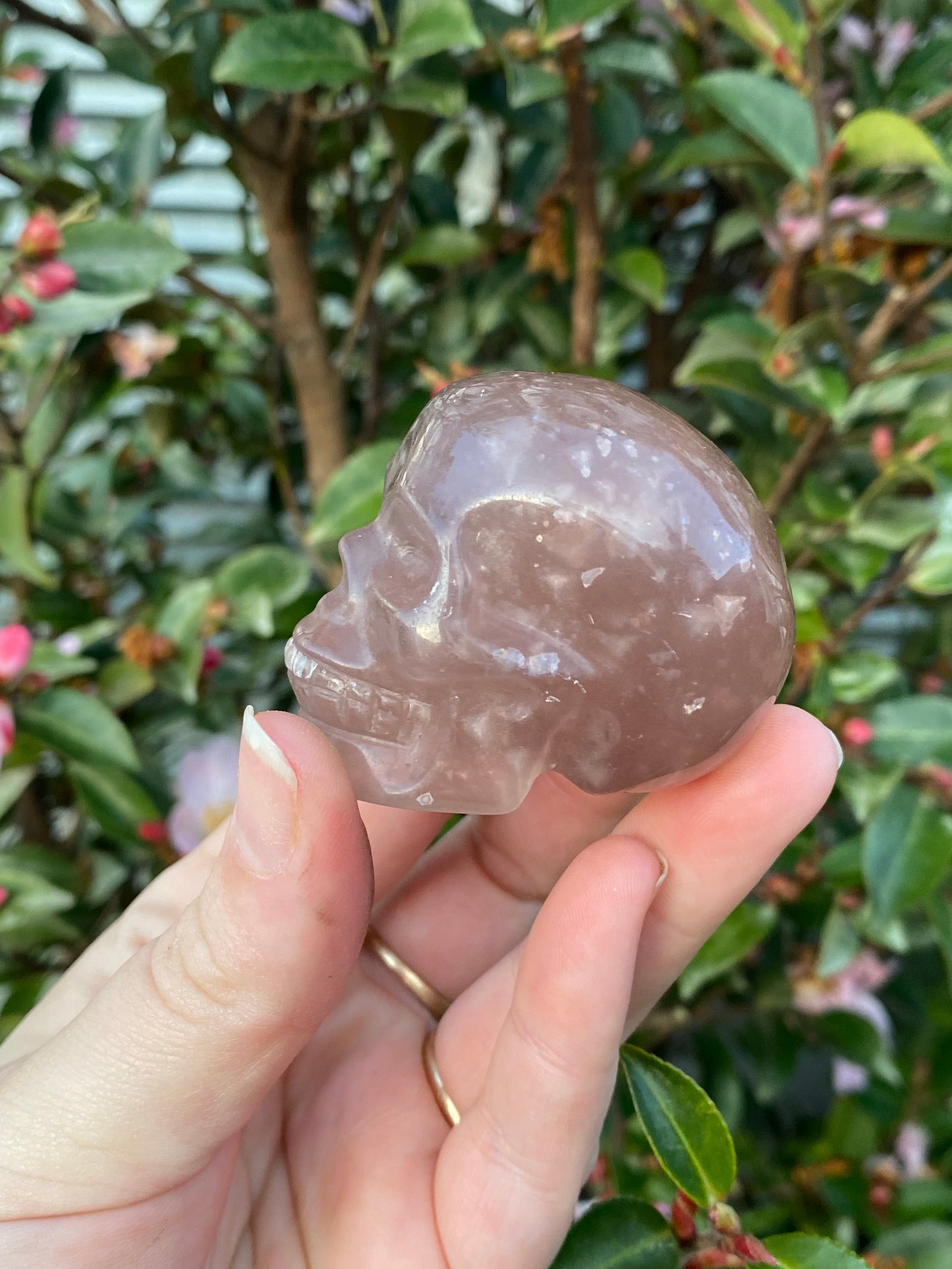 Fluorite Skull