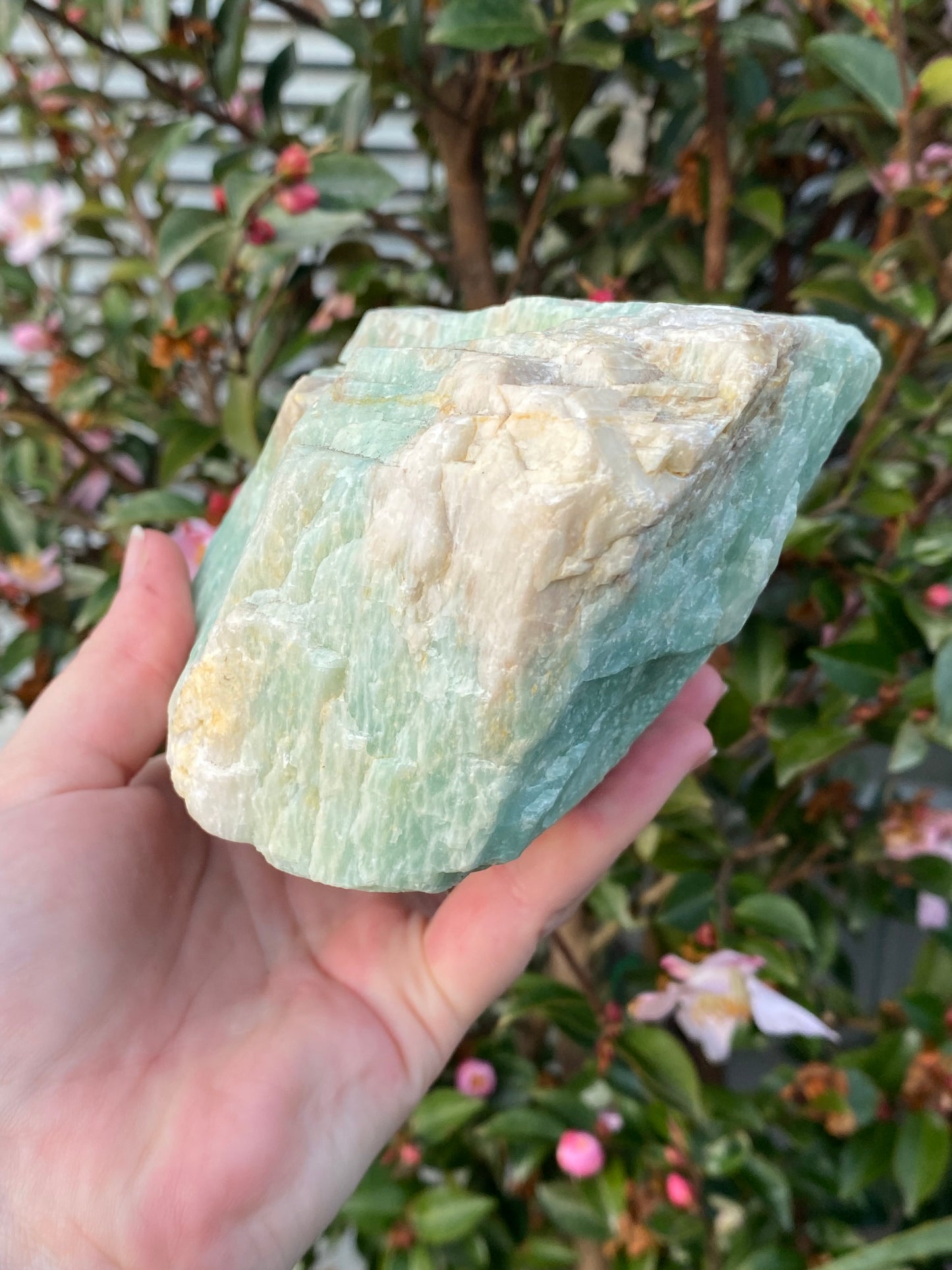 Raw Amazonite - 2.326kg