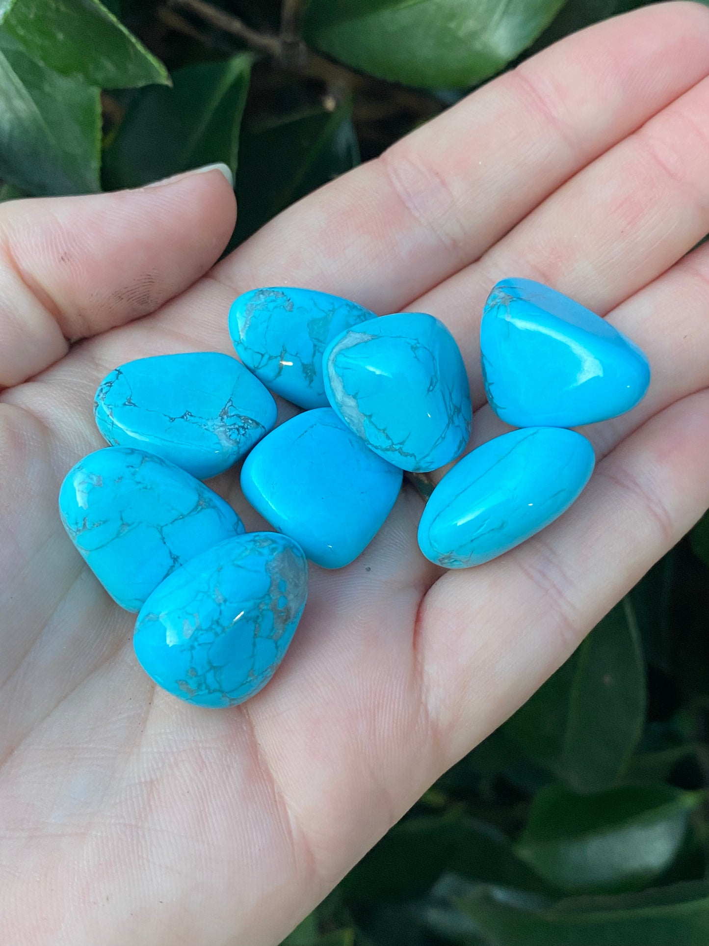 Dyed Blue Howlite Tumble - Each